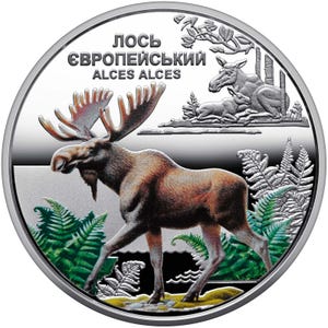 May include: A silver coin featuring a detailed depiction of a moose with large antlers, set against a backdrop of ferns and trees. The coin's design includes the text "ЛОСЬ ЄВРОПЕЙСЬКИЙ ALCES ALCES" and an image of a mother moose and calf.