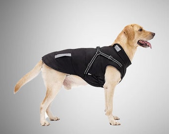 Waterproof Dog Coat with Leather Lining