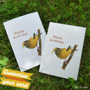 Happy bird-day | Happy birthday, Evening grosbeak