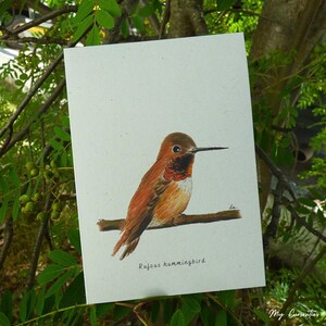 Carte pour correspondance Colibri roux