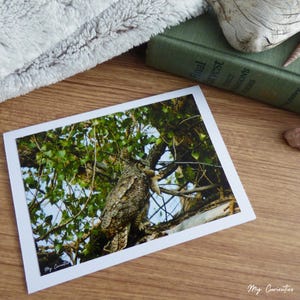 Carte de correspondance avec le hibou grand duc et sa proie