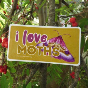 I love moths glossy vinyl die cut sticker