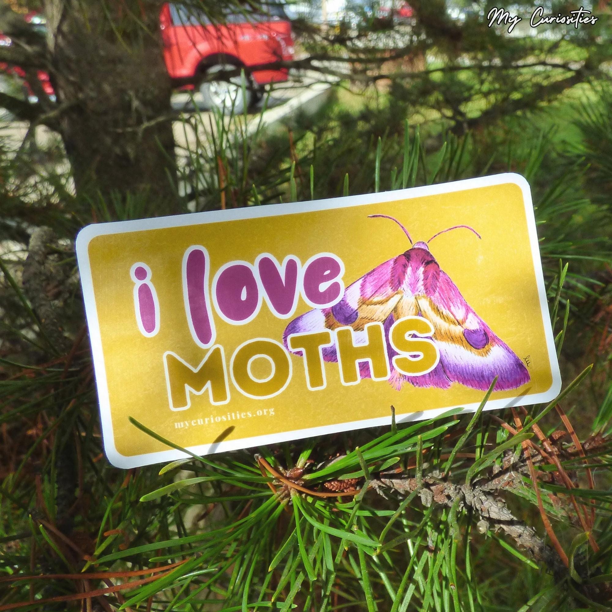 I Love Moths Glossy Vinyl Die Cut Sticker - Etsy