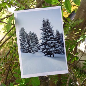 Avoriaz, snowy Alps notecard