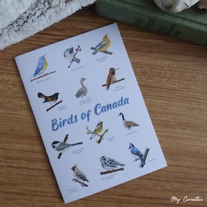 Carte pour lettres Oiseaux du Canada