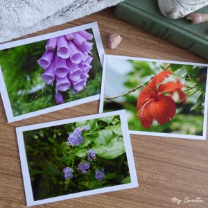 Cartes de correspondance florales françaises
