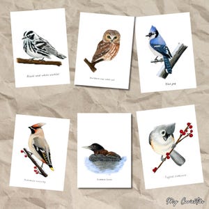 Lot de cartes Oiseaux canadiens (2), cartes de journalisation, cartes-cadeaux