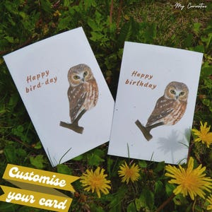 Happy bird-day | Happy birthday, Northern saw-whet owl