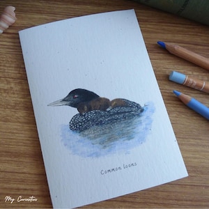 Common loon and chicks notecard