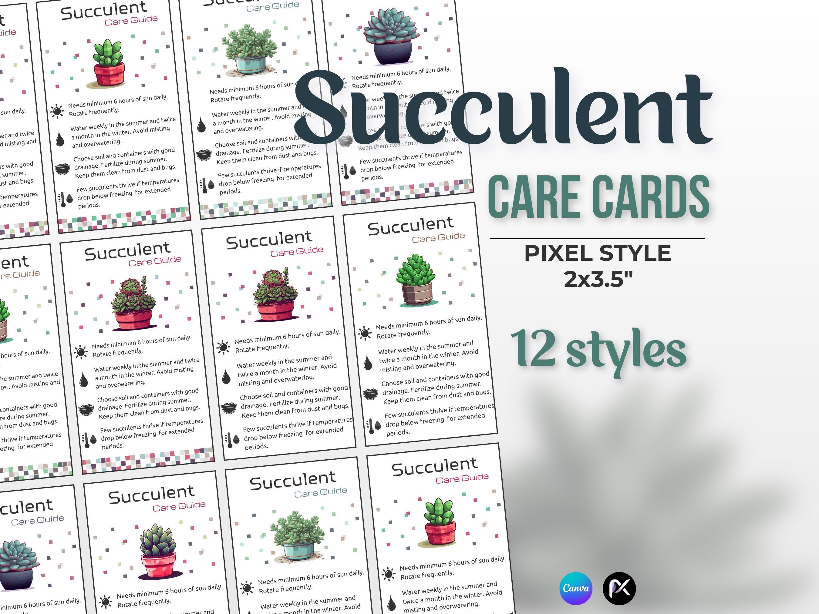 Succulent Care Card, Plant Card, Mini Care Cards, Plant Label, Care Guide,  Care Tips, Plant Care, Houseplant Care, Indoor Plant, Pixel Style - Etsy