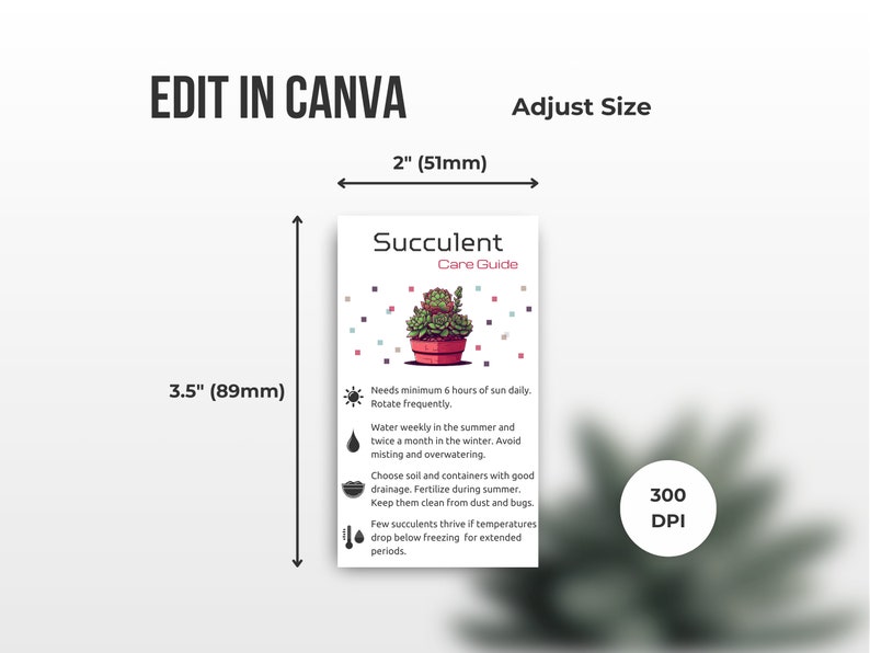 Succulent Care Card, Plant Card, Mini Care Cards, Plant Label, Care ...