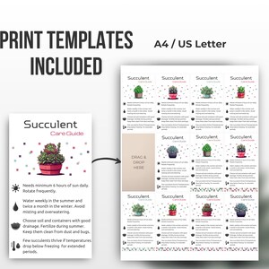 Succulent Care Card, Plant Card, Mini Care Cards, Plant Label, Care ...