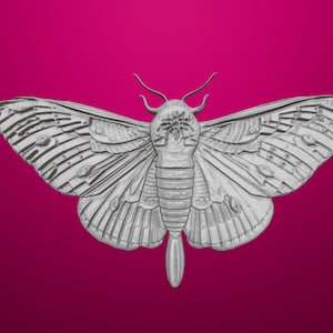 Modèle 3D de Night Moth et carte de profondeur Aspire Artcam