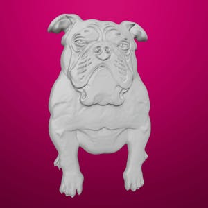 Bulldog 3D STL Model for Aspire ArtCAM, CNC Carving, Stone Engraving, Wall Decoration