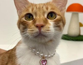 May include: A close-up of a ginger and white cat wearing a pearl necklace with a pink heart charm. The cat is looking directly at the camera.