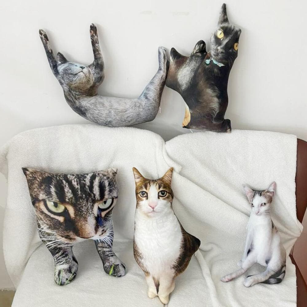 Cat with pillow hotsell