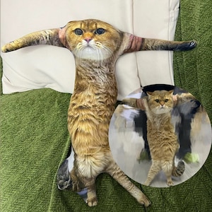 Weird Pet Pillow, Custom Cat 3D Pillow, Personalized Pet Pic Pillow, Pet Memorial, Funny Pillow, Cute Dog Pillow,Cat Toy,Christmas Gift 2024