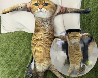 Weird Pet Pillow, Custom Cat 3D Pillow, Personalized Pet Pic Pillow, Pet Memorial, Pet Lover Gift, Funny Pillow, Cute Dog Pillow, Cat Toy