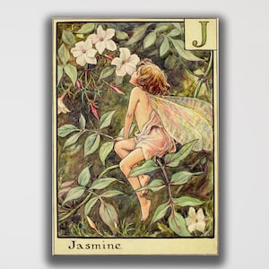 May include: A framed vintage illustration featuring a fairy amidst jasmine flowers. The artwork has a soft color palette with green foliage, white flowers, and a fairy in pink. The word "Jasmine" is written at the bottom.