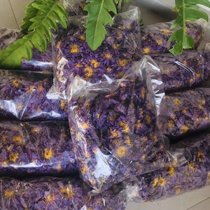 Peut inclure: Plusieurs sacs en plastique transparents remplis de fleurs de lotus violettes séchées avec des centres jaunes. Les sacs sont empilés, avec des feuilles vertes en arrière-plan.