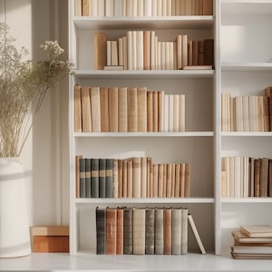 Może przedstawiać: Biała biblioteczka z wieloma półkami wypełnionymi książkami w różnych kolorach i rozmiarach. Biblioteczka stoi przy białej ścianie z oknem po prawej stronie. Po lewej stronie biblioteczki stoi wazon z suszonymi kwiatami.