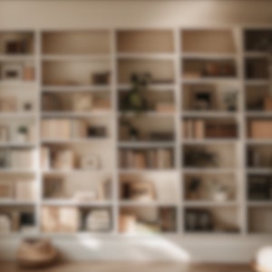 Puede incluir: Una estanter&iacute;a blanca con varios estantes llenos de libros, objetos decorativos y plantas. La estanter&iacute;a est&aacute; en una habitaci&oacute;n con grandes ventanas y suelo de madera.