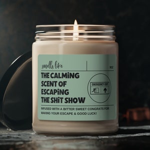Funny Coworker Farewell Gift Candle, Friend Leaving Job Goodbye Retirement Gift for Women, Retirement Candle, Coworker Leaving Job Moving