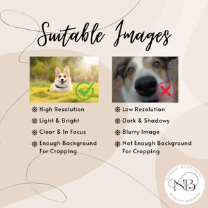 May include: Two images of dogs, one with a checkmark and one with an X. The image with the checkmark shows a dog in a well-lit outdoor setting with a clear background. The image with the X shows a dog in a dark, blurry setting with a cluttered background.