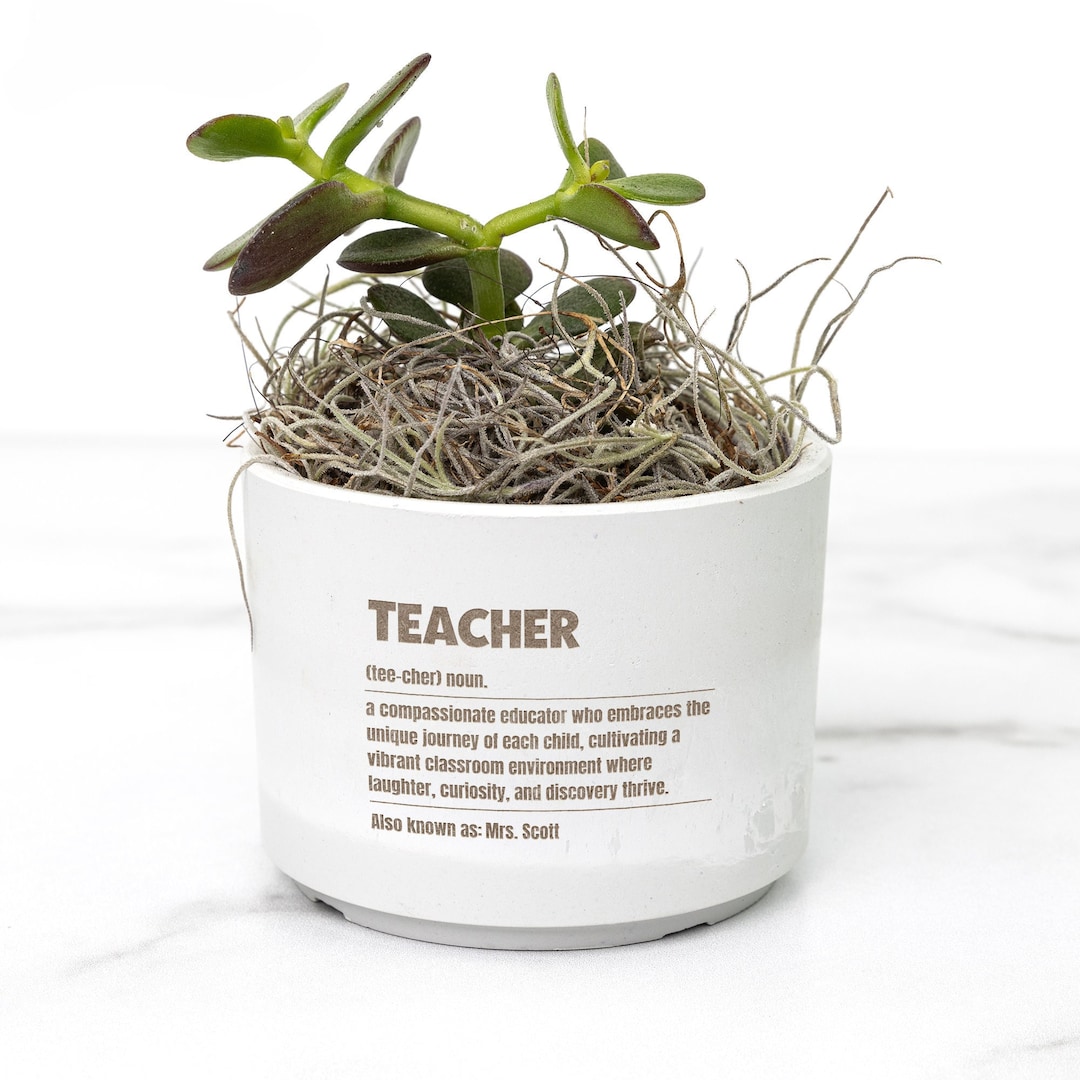 Engraved Teacher Succulent Desk Plant Gift for Teacher Appreciation ...