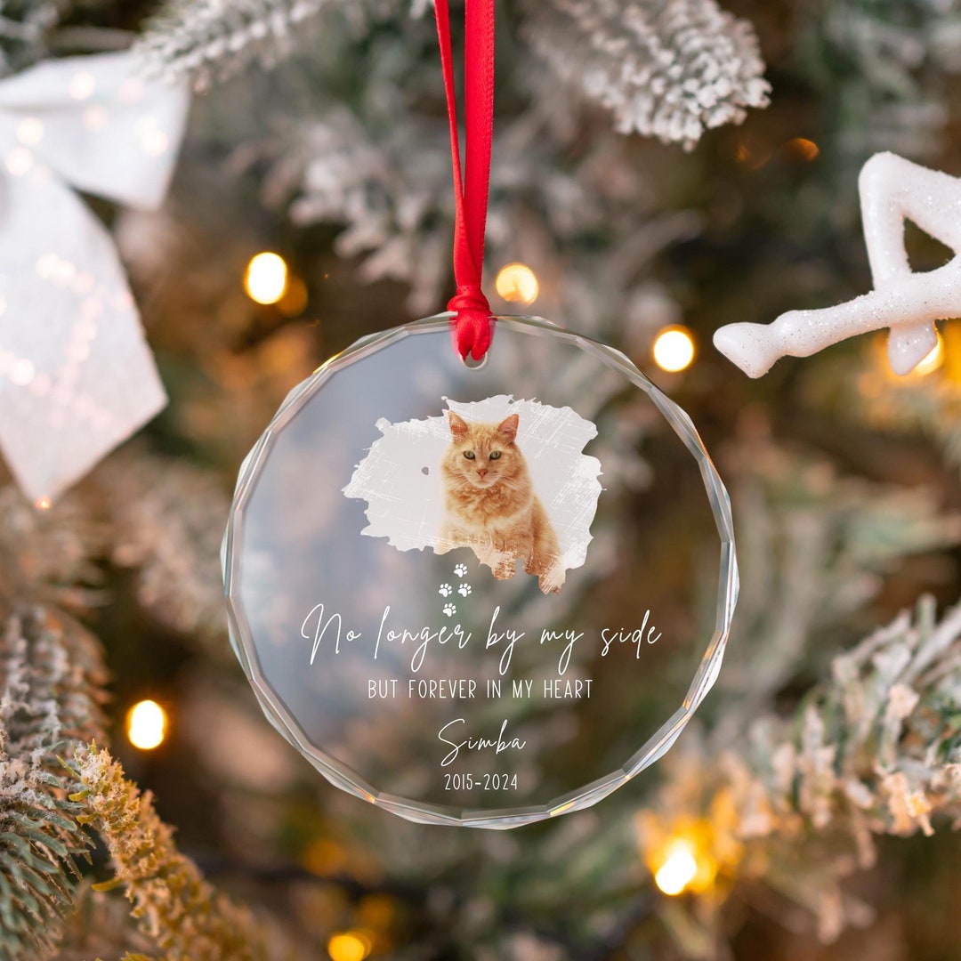Custom Cat Memorial Ornament Gift, Cat Remembrance Gift, Cat Loss