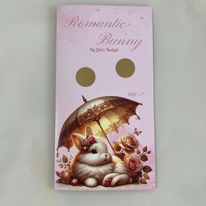 Romantic Bunny Sparchallenge | 3 in 1 Klappchallenge | für A6 Binder | Umschlagmethode