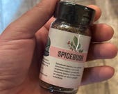 Ground Spicebush Berry Spice