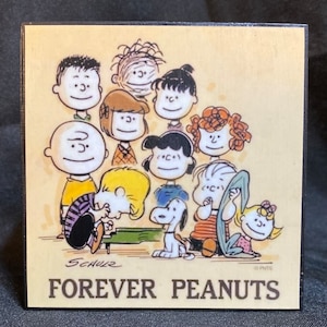 Peanuts home decor block
