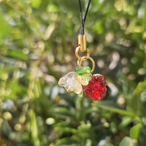May include: A phone charm featuring a small, translucent red raspberry bead, a clear bell-shaped flower bead, and a tiny green leaf bead. These charms are attached to a gold-toned metal jump ring and a thin black cord for easy attachment to devices.