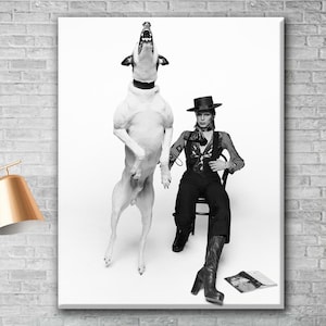 Diamond Dogs David Bowie Poster - Etsy