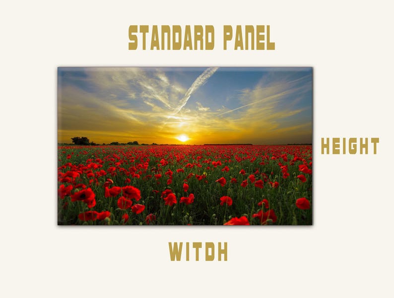 May include: A field of red poppies in full bloom against a sunset sky. The sun is setting behind the flowers, casting a warm glow over the scene.