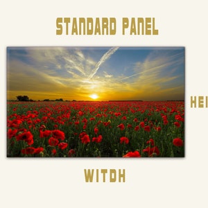 May include: A field of red poppies in full bloom at sunset. The sky is a vibrant orange and blue with wispy clouds. The sun is setting in the distance.