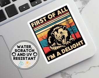 Funny Possum Meme Sticker, Trash Panda Gift