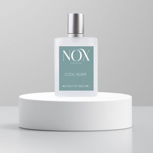 Cool Silver - Inspired by Silver Mountain Water, Handmade Fragrances, men parfum, Holiday Gifts For Him, Luxury Fragrances, 100ml/3.38oz
