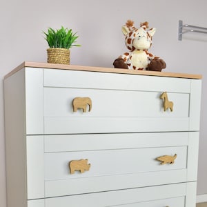 Pomelli per cassetti con animali da safari / Decorazioni per camerette per bambini