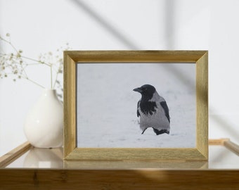 Norwegian Hooded Crow in the Snow | High-quality print on Fuji Matt photo paper
