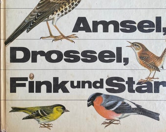 1986 Vögel Illustriertes Vintage Deutsches Buch Amsel, Drossel, Fink und Stern Johannes Breitmeier