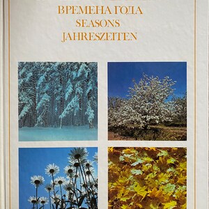 Könnte beinhalten: Ein Buchcover mit dem Titel "GadalaiKi" und den Worten "Vremena Goda", "Seasons" und "Jahreszeiten" in goldener Schrift. Das Cover zeigt vier Bilder: einen schneebedeckten Wald, einen blühenden Baum, ein Feld mit Gänseblümchen und einen Haufen Herbstlaub.