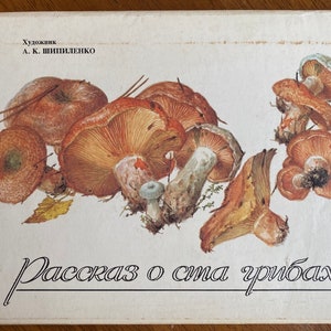 1990 Postkarten Pilze Set 32 Stück mit Umschlag Vintage Russische Postkarten Sowjetunion UdSSR Рассказ осша рибах ХуkleidожникА. К. Pillendose