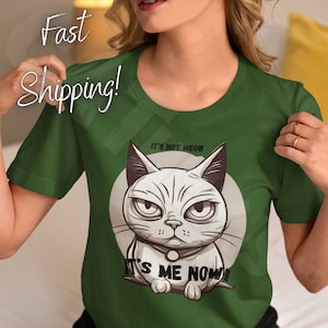 Funny T Shirt, Cat Shirt, Gift For Her T-Shirt, Cat Lover Shirt, Gift For Him Tee Shirt, Cat Lover Gift, Shirt, T Shirt, T-Shirt,Unisex Gift