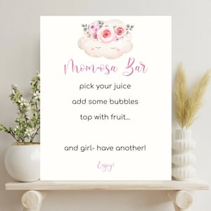 We&#39;re On Cloud 9 Momosa Bar Sign Cloud Nine Baby Shower Decor Momosa Bar Sign- Pink Baby Shower Table Sign- Baby Shower Signage- CS001