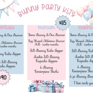 Some Bunny is One Party Decor Kit Bunny 1st Birthday Bundle Kids Party ...