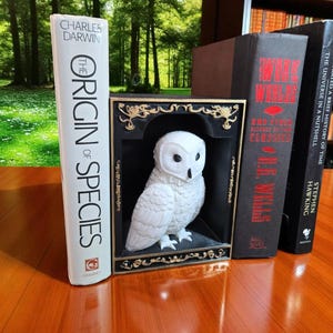 Mystical Owl Book Nook – 3D Printed Bookshelf Insert with Gold Accents | White Owl Library Decor | Handmade Fantasy Gift for Readers