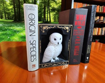 Könnte beinhalten: Eine weiße Eulenfigur in einem schwarz-goldenen Rahmen, flankiert von Büchern wie "The Origin of Species" und "Eine kurze Geschichte der Zeit." Die Bücher stehen auf einer Holzoberfläche mit verschwommenem grünem Hintergrund.