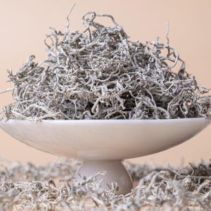 May include: A white ceramic pedestal bowl filled with dried, gray, wispy lichen. The bowl is sitting on a surface covered in more lichen.
